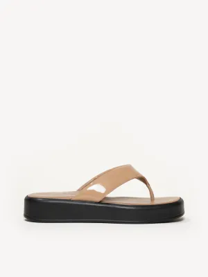 The Rosella (Sample Sale)